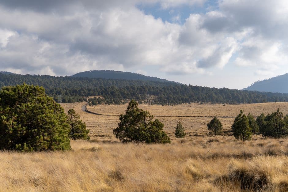 Vista de Paso de Ovejas, México