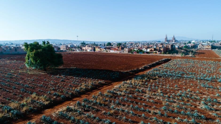 Vista de Juanacatlán, México