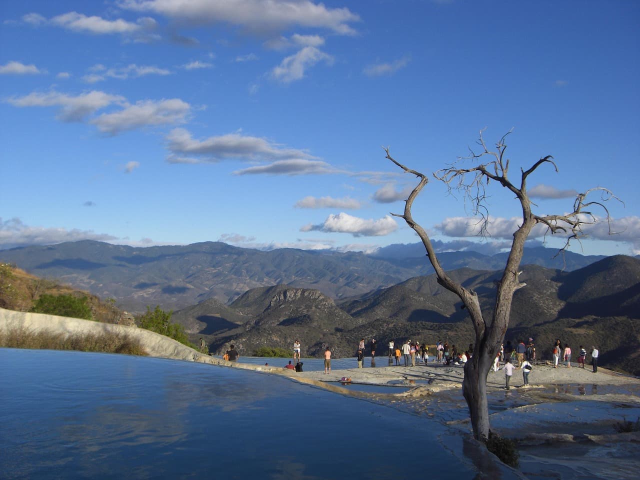 Árbol junto a unas formaciones de agua y roca, en el chat de Ixtepec