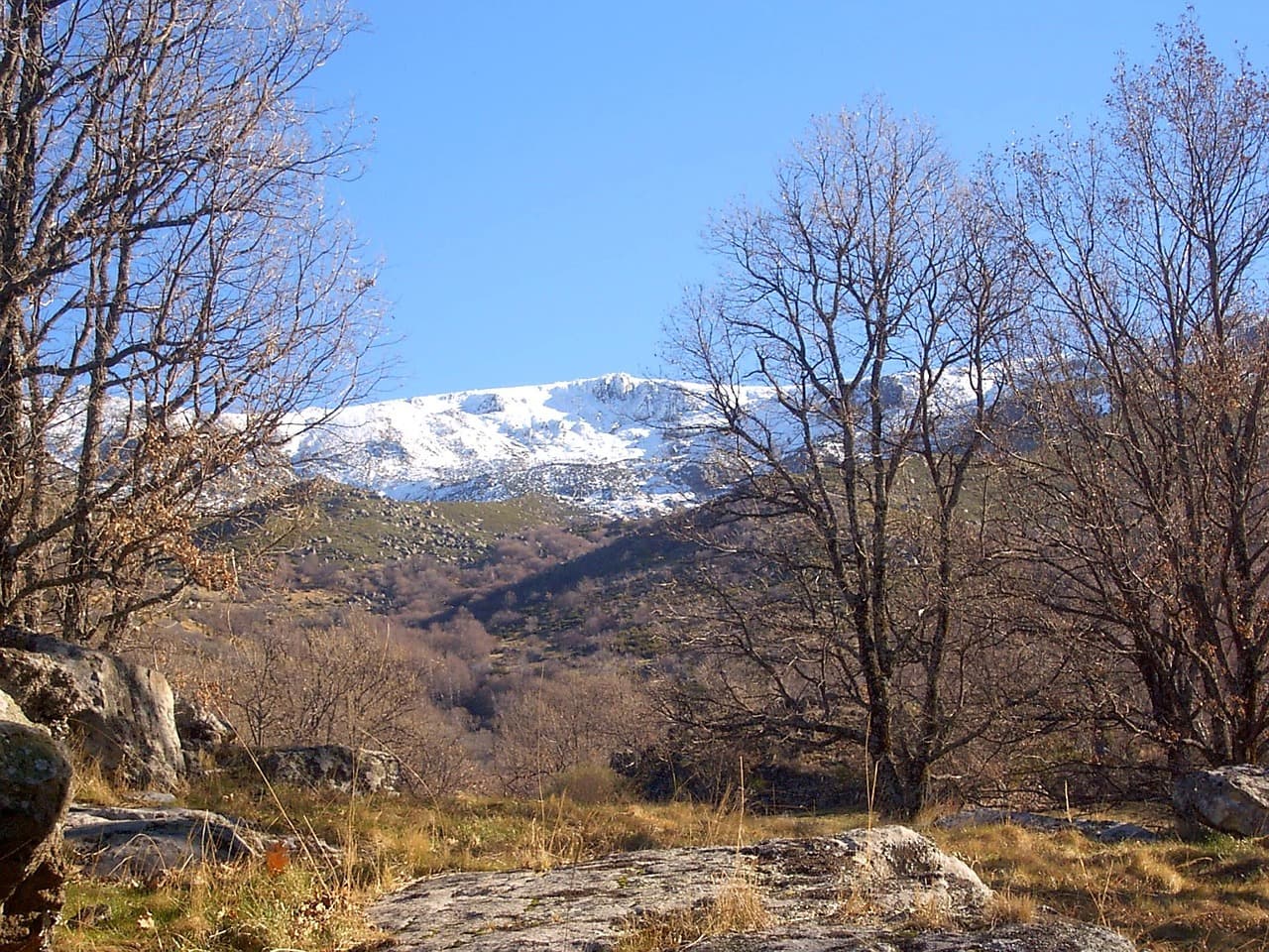 Paisaje invernal con nieve y montañas, en la sala de chat de Béjar