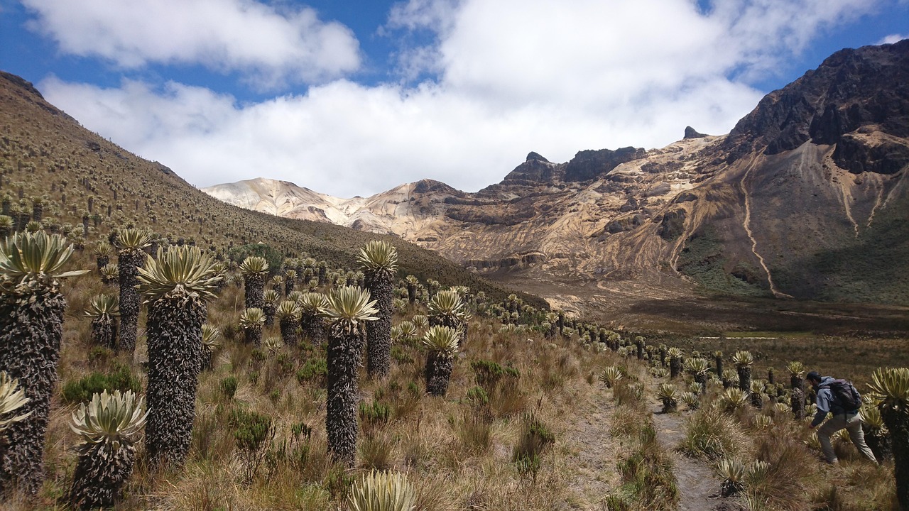 Vista de Departamento del Meta, Colombia