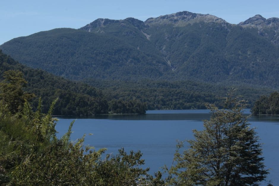 Árboles verdes a la orilla de un lago, en el chat de Provincia de Neuquén