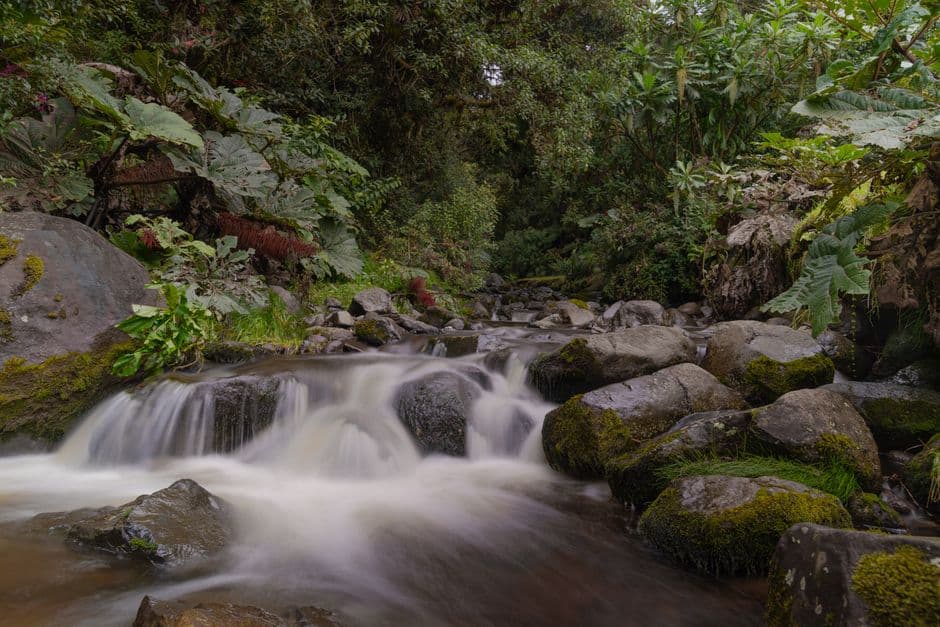 Vista de Provincia de El Oro, Ecuador