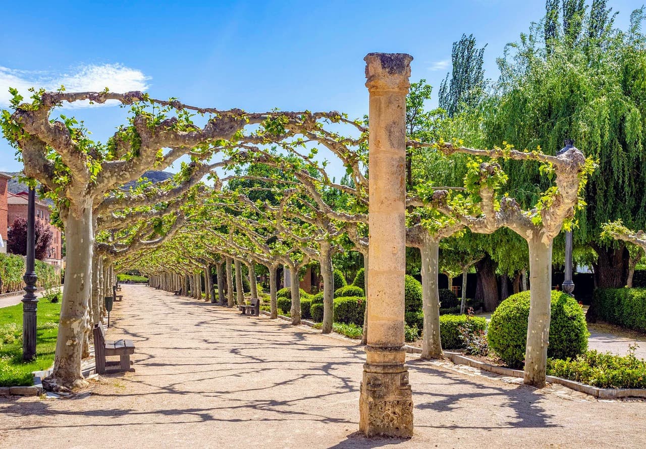 Jardín verde con senderos y árboles en Soria, España, en el chat de Almazán