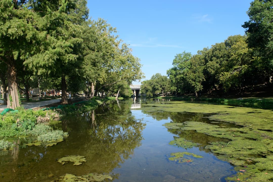 Vista de Texas, Estados Unidos