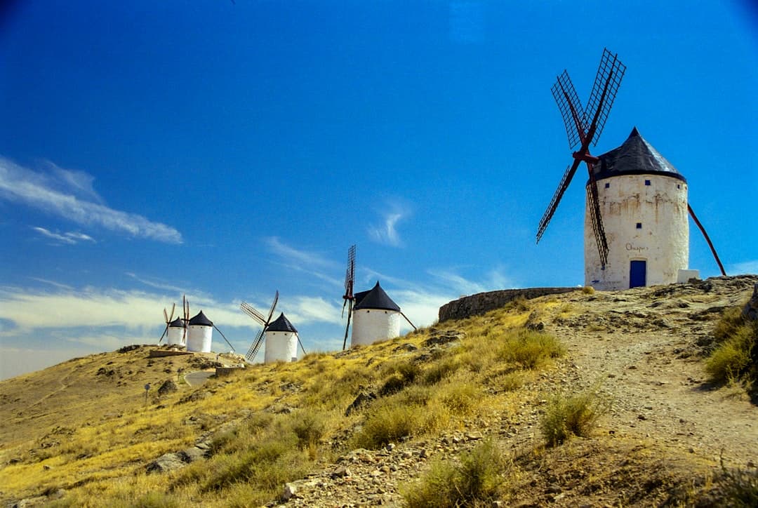 Molino de viento en un campo de hierba verde, en la sala de chat de Consuegra