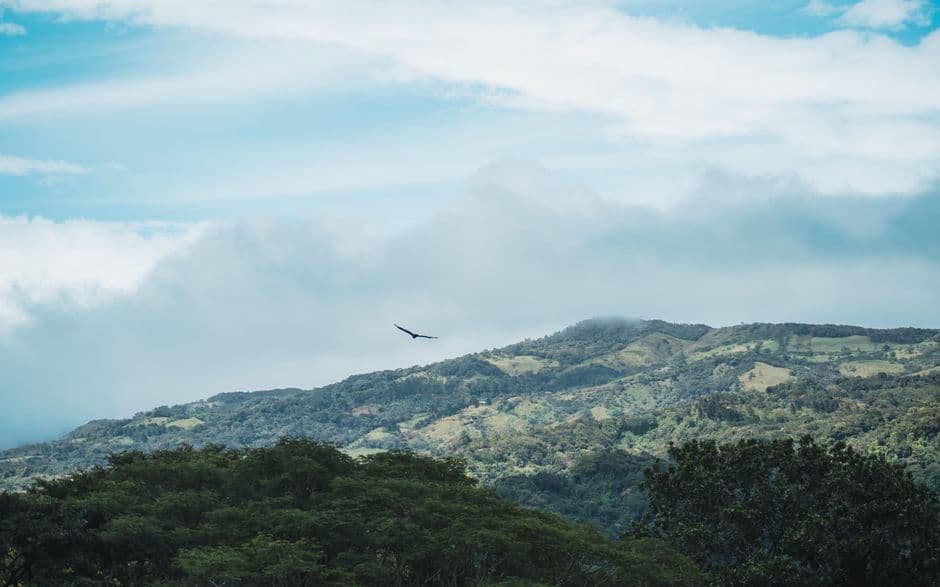 Vista de Provincia de San José, Costa Rica