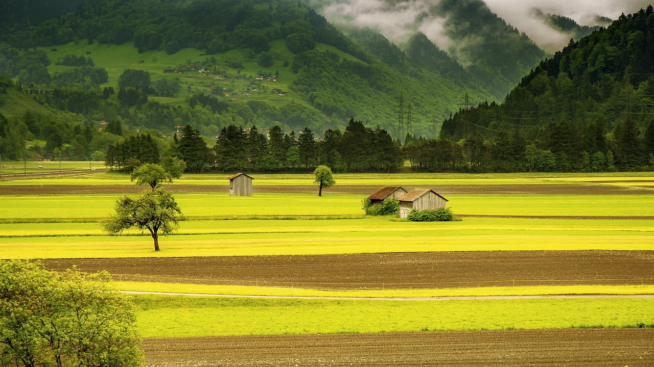 Paisaje de un valle con campos, en el chat de Provincia de San Juan