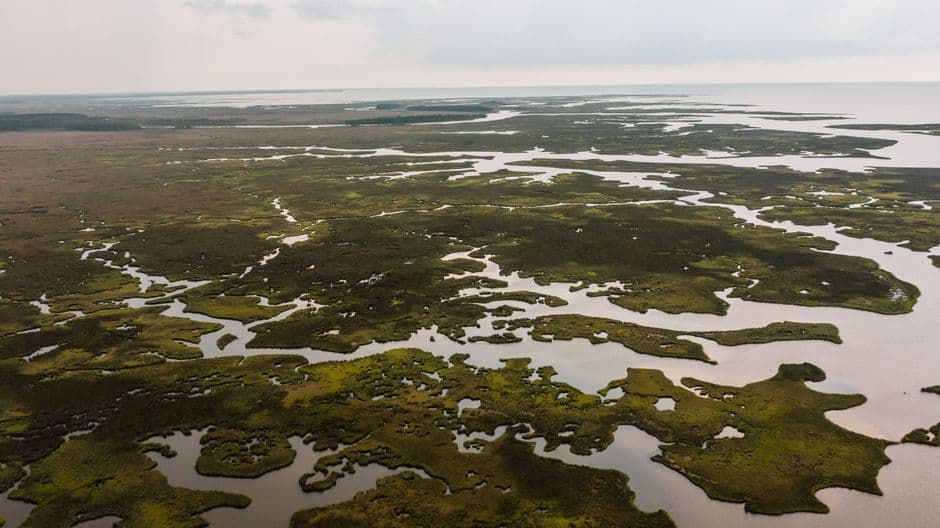 Vista de Delta Amacuro, Venezuela