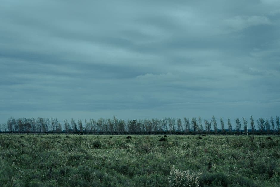 Un extenso campo bajo un cielo nublado, en el chat de Provincia de Santa Fe