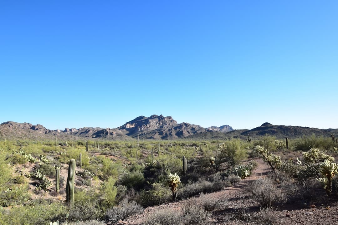 Vista de Arizona, Estados Unidos