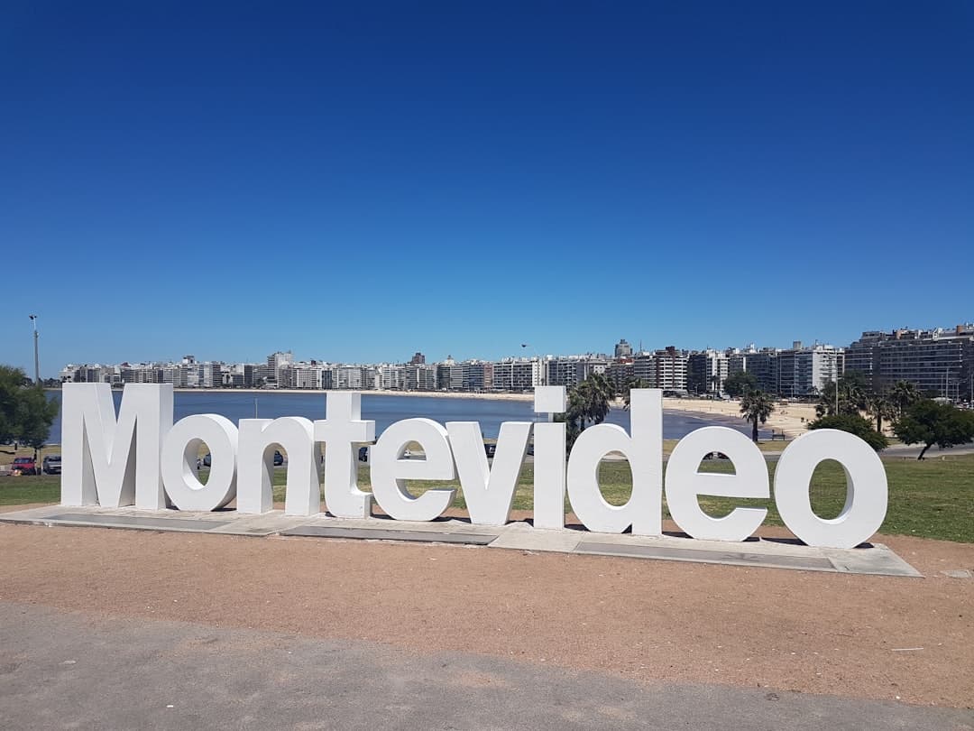 una imagen del horizonte urbano con edificios y agua, en el chat de Montevideo