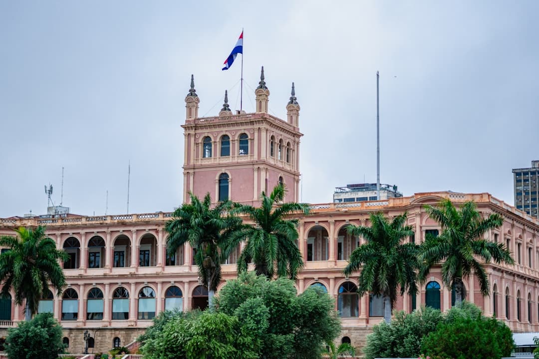Edificio grande con palmeras delante, visible en el chat de Asunción