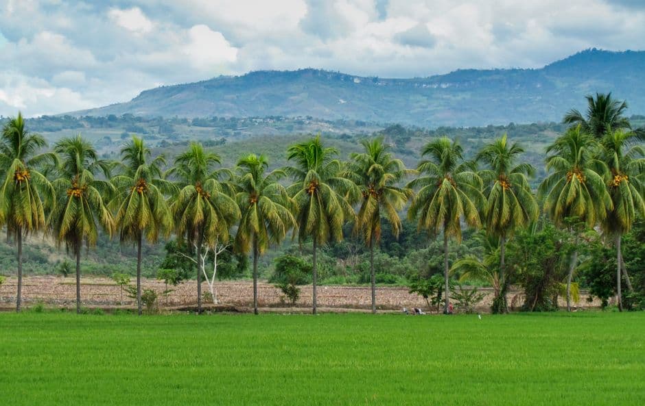Vista de Coscomatepec, México