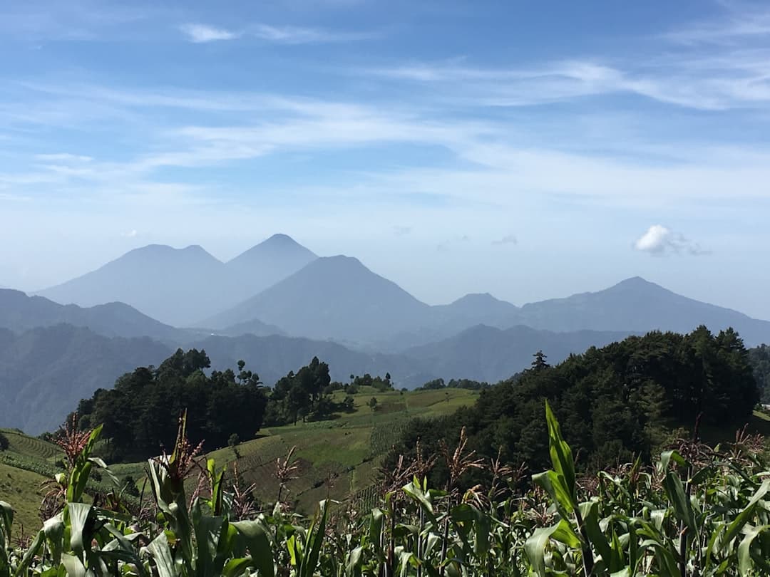 Campo de césped verde cerca de montañas, en la sala de chat de Quetzaltenango