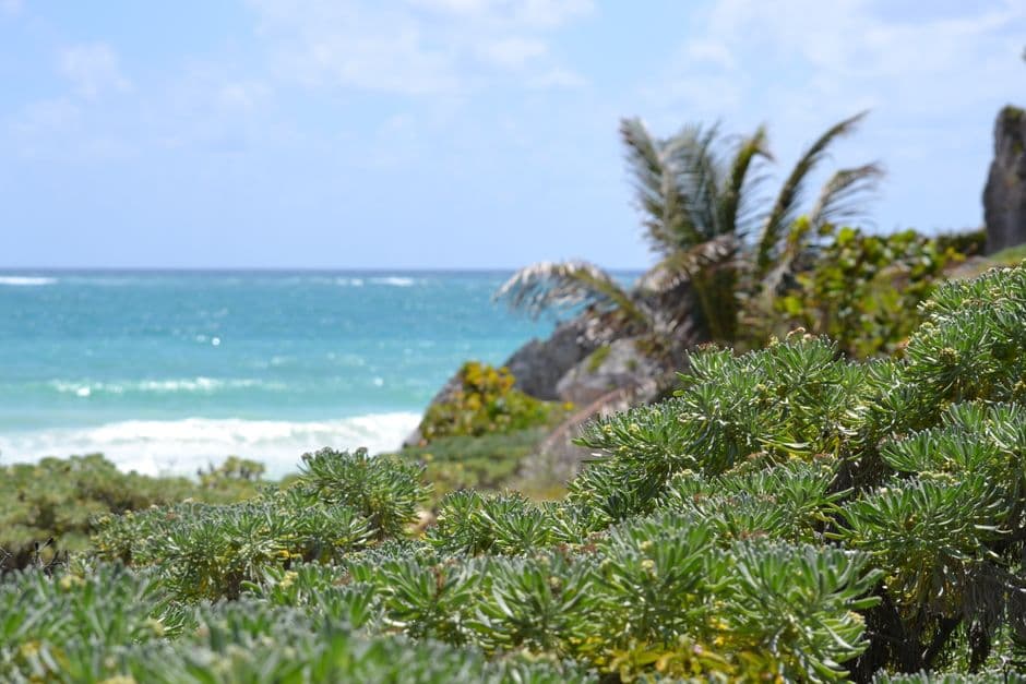 Vista de Tulum, México