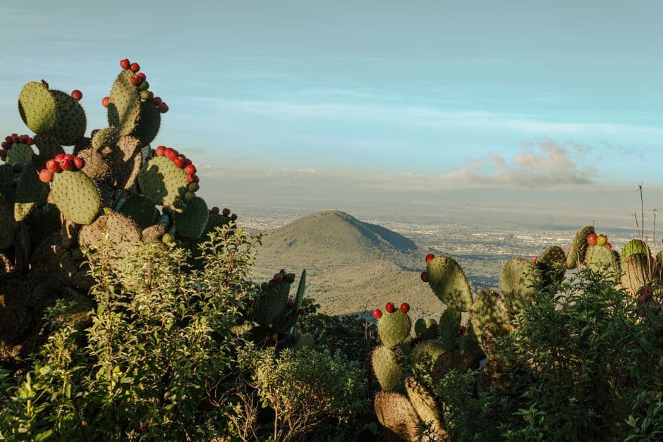 Vista de Tepetlaoxtoc, México