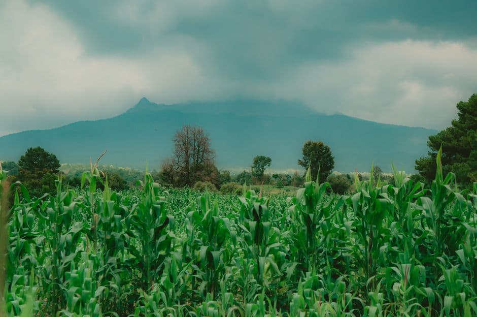 Vista de Panotla, México