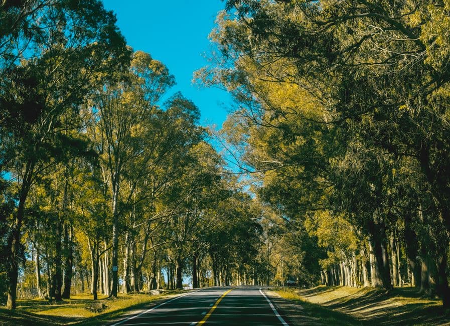 Vista de Departamento de Canindeyú, Paraguay