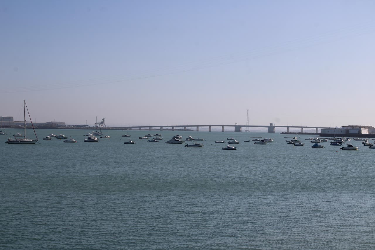 Puente sobre agua, en el chat de Jesús Carranza