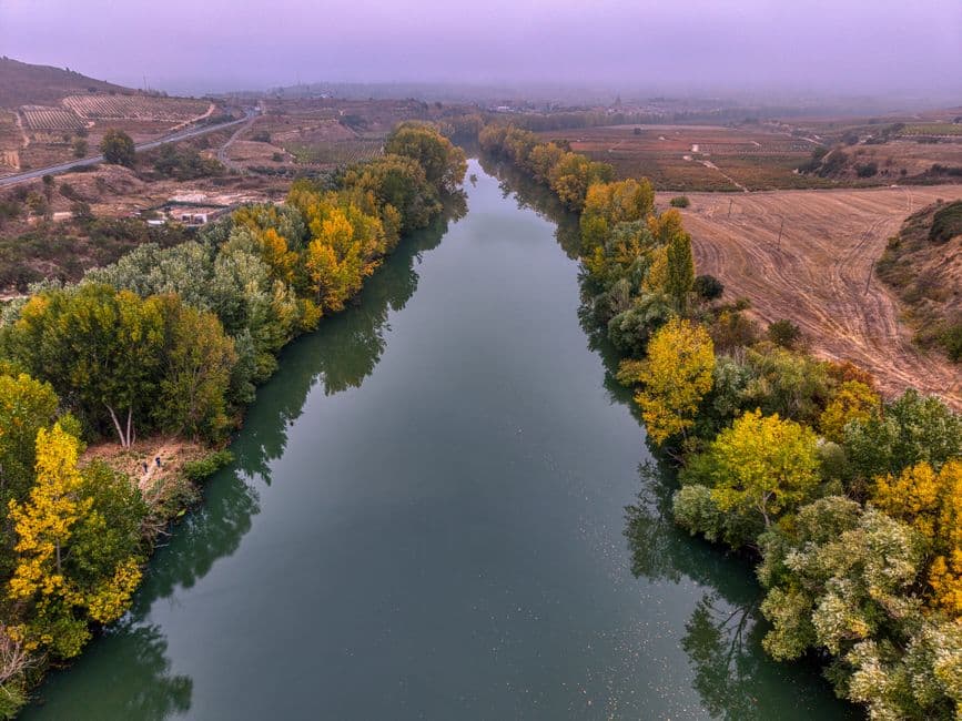 Río otoñal rodeado de árboles, en la sala de chat de La Rioja