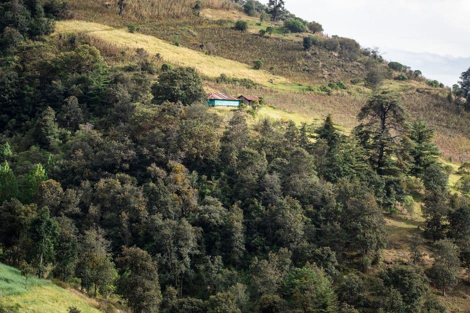 Paisaje natural en una colina, en la sala de chat de Huehuetenango