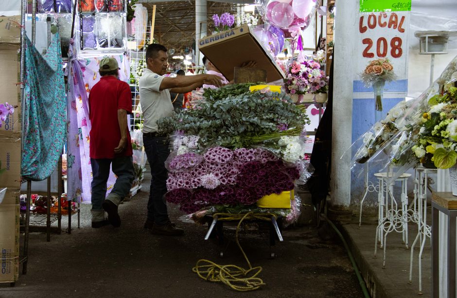 Foto de Flores, Petén