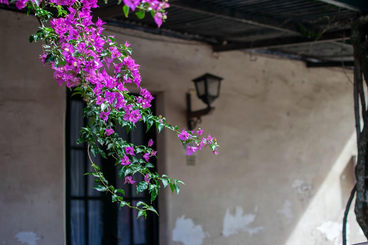 Vista de Departamento de Colonia, Uruguay