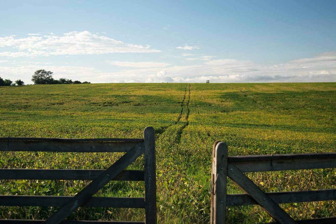 Campo y granja en un paisaje llano, en el chat de Departamento de Tacuarembó