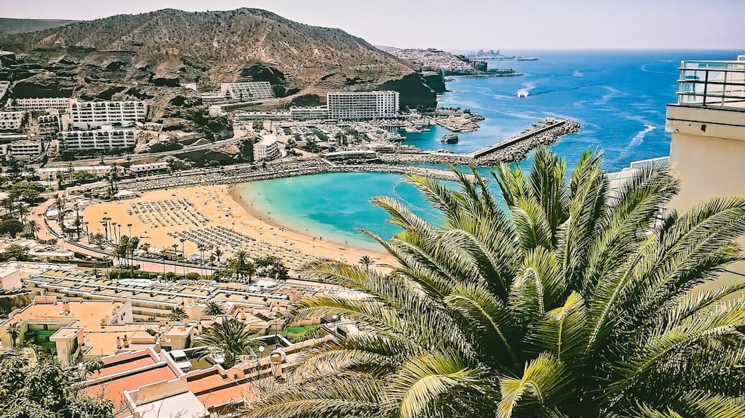 Playa con palmeras y mar, en la sala de chat de Las Palmas
