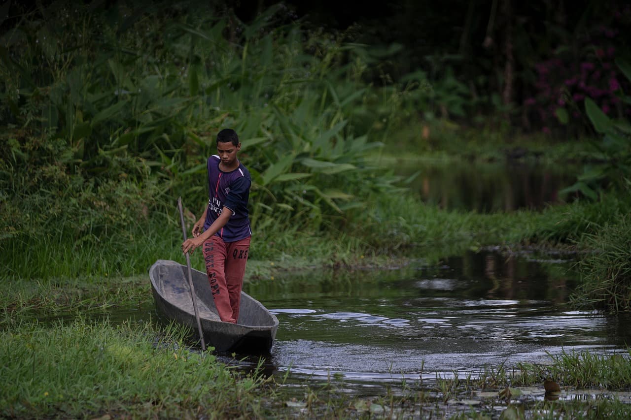 Barca en un lago pantanoso con plantas de cacao, en el chat de Sucre