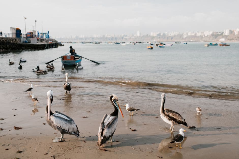 Vista de Callao, Perú
