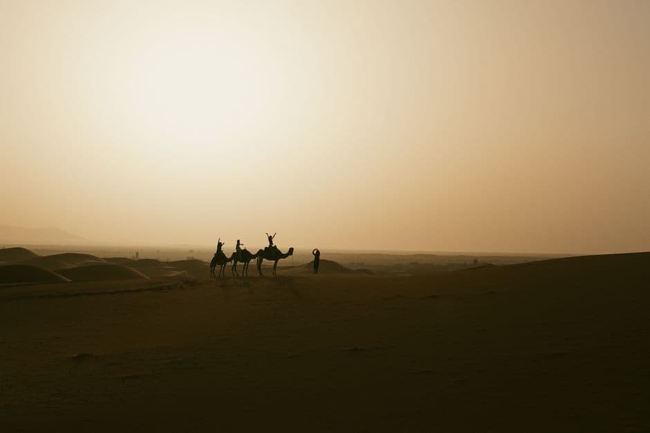 Caravana de camellos al atardecer en el desierto, en el chat de Región Oriental