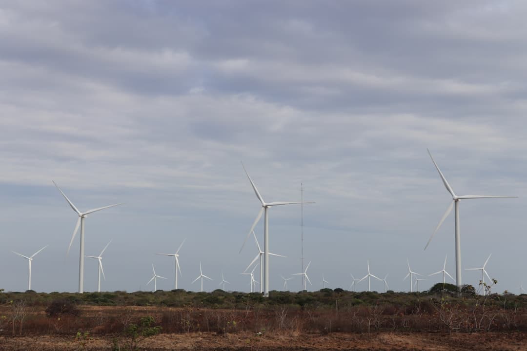 Grupo de aerogeneradores en un campo, en el chat de Penonomé