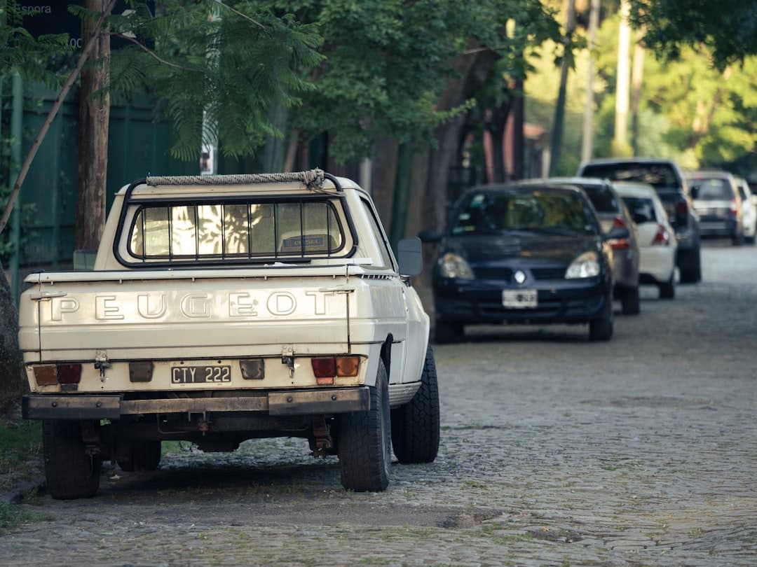 Camión blanco estacionado al borde de carretera, en el chat de Temperley