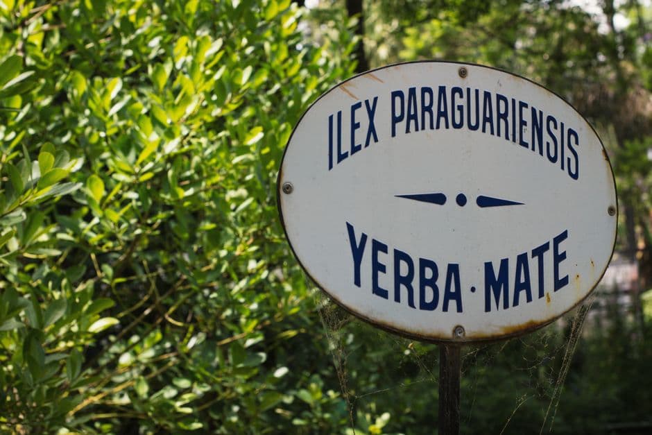 Vista de Yerba Buena, Argentina