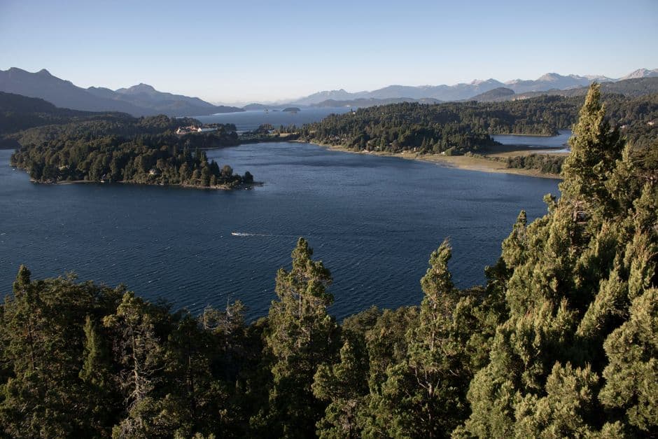 Vista aérea de río rodeado de árboles, en el chat de Villa Tesei