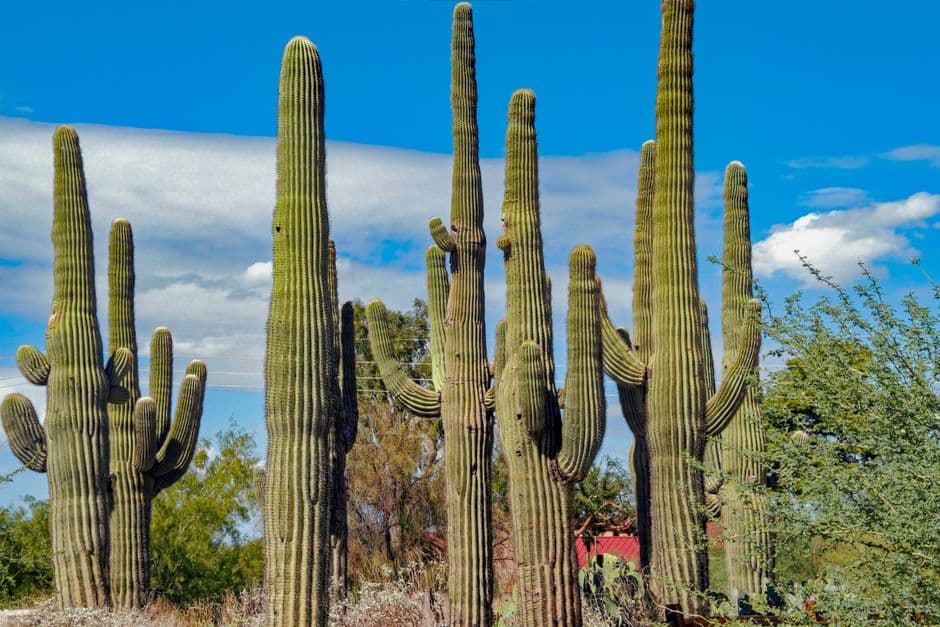 Vista de Gilbert, Estados Unidos