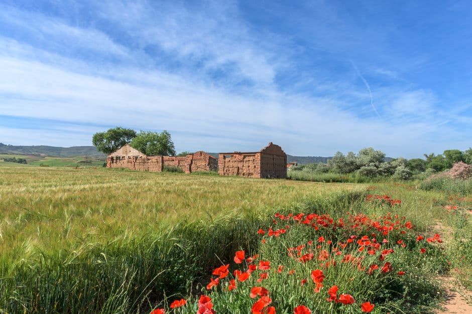 Vista de Alcalá de los Gazules, España