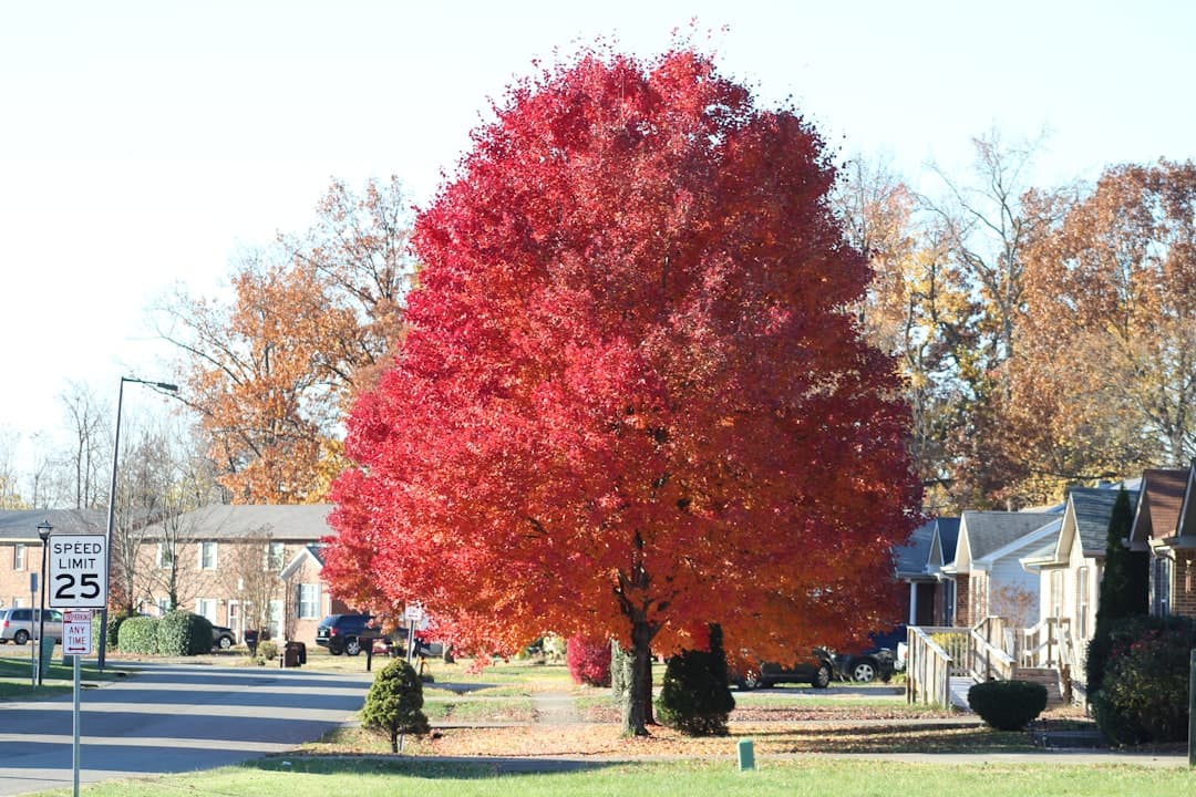 Vista de Louisville, Estados Unidos