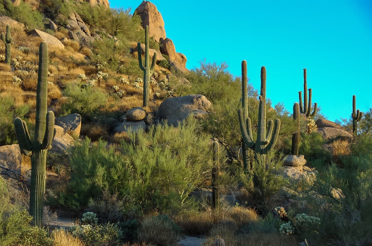 Vista de Scottsdale, Estados Unidos