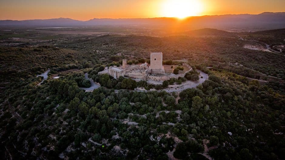 Vista de Riudoms, España