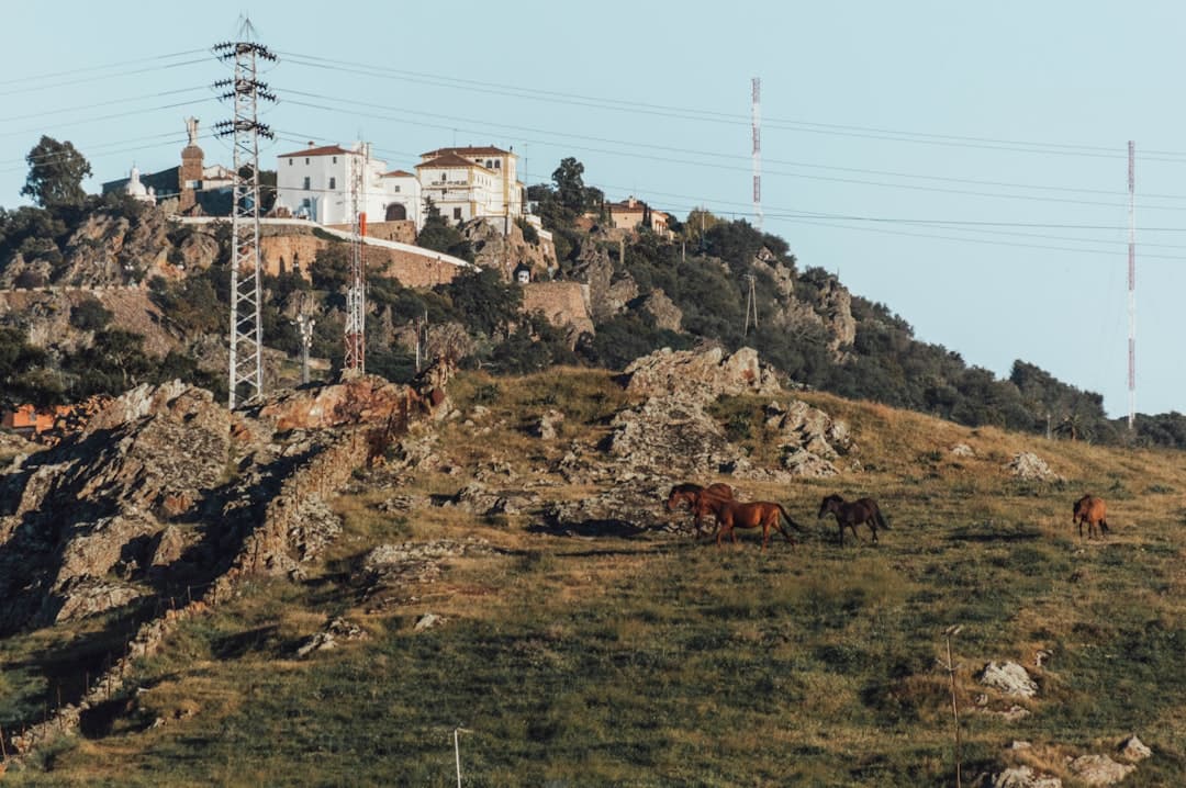 Vista de Moraleja, España