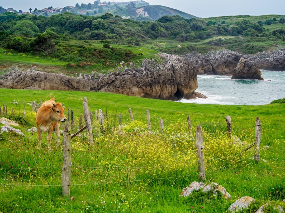 Vista de Vegadeo, España