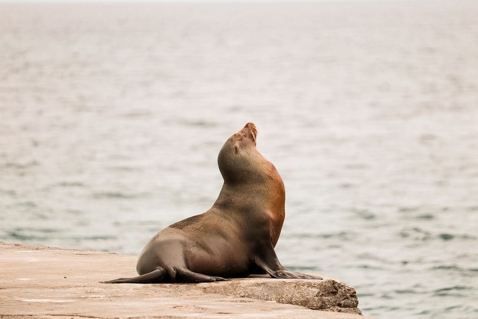Vista de Provincia de Galápagos, Ecuador