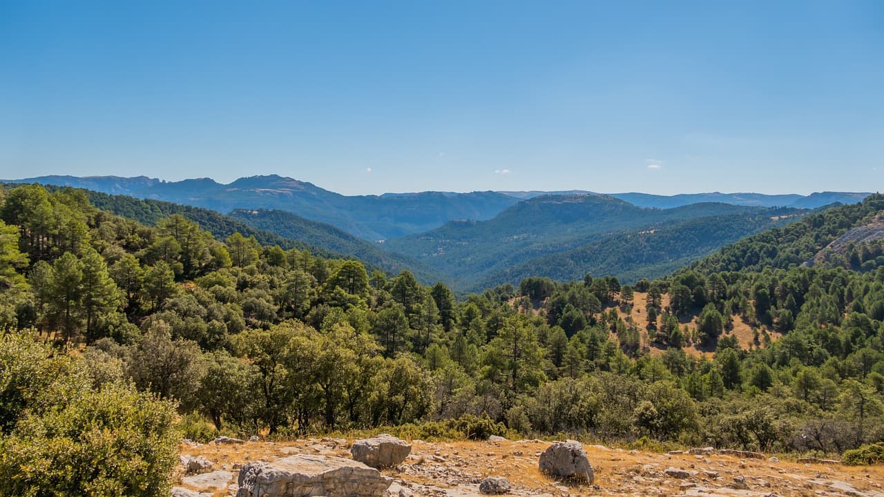 Paisaje de montañas con árboles y follaje, en el chat de Formentera del Segura