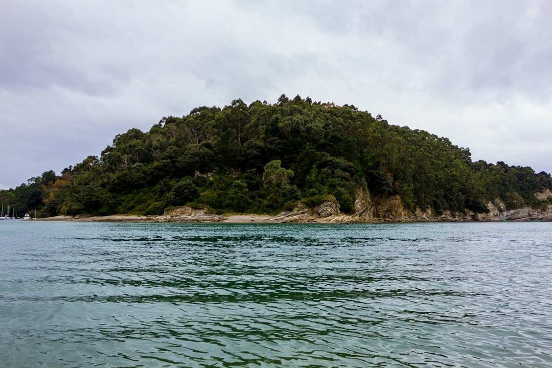 Isla verde con árboles y aguas tranquilas, en la sala de chat de Plentzia