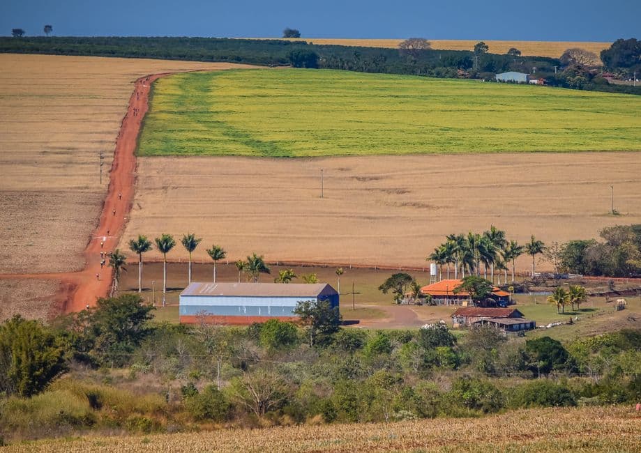 Camino de tierra junto a un campo de hierba, en la sala de chat de Marília