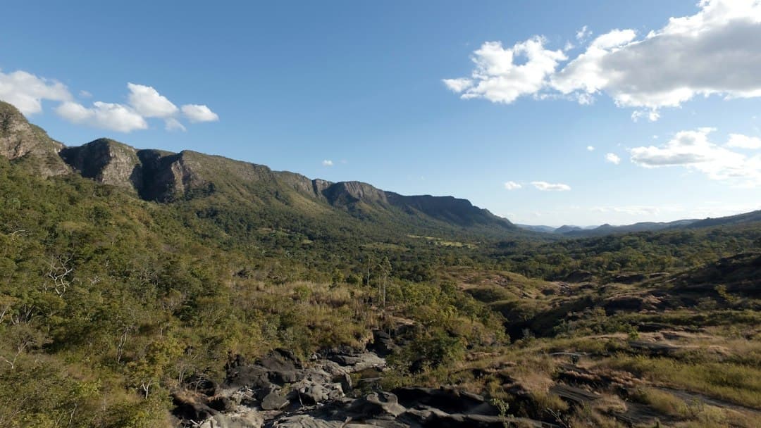 Lote verde con varios árboles bajo cielo claro, en el chat de Águas Lindas de Goiás