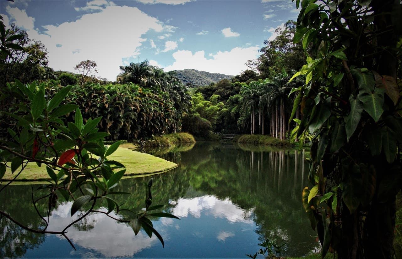 Jardín botánico con vegetación y arte al aire libre, en el chat de Divinópolis